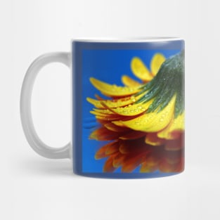 A yellow flower. Mug